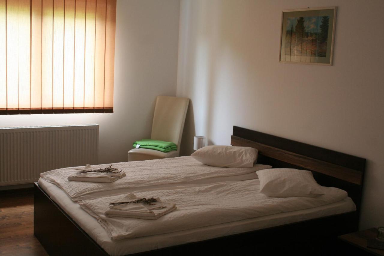 Aranykakas Etterem Es Panzio Bed & Breakfast Sîndominic Exterior photo