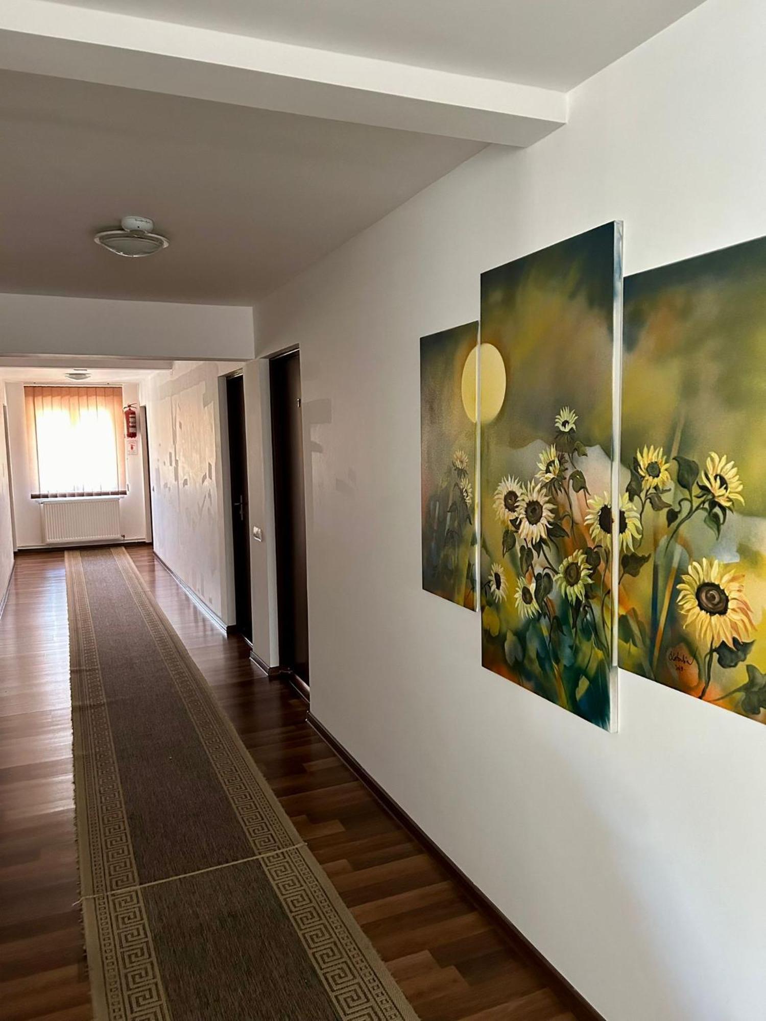 Aranykakas Etterem Es Panzio Bed & Breakfast Sîndominic Exterior photo